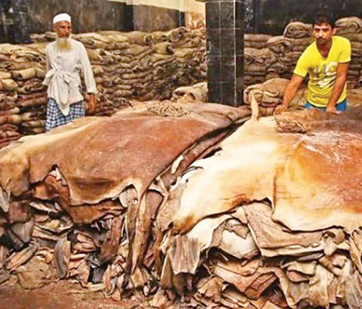 বাংলাদেশের চামড়াশিল্প : সমস্যা ও সম্ভাবনা