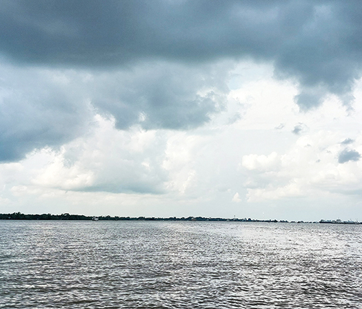 জঙ্গলবাস : সৈয়দা তাসলিমা আক্তার